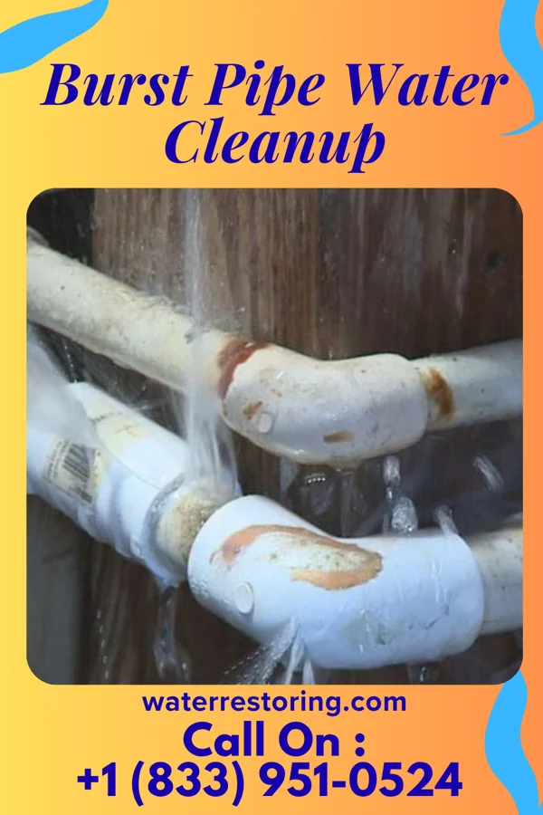 Burst Pipe Water Cleanup in Erskine, MN