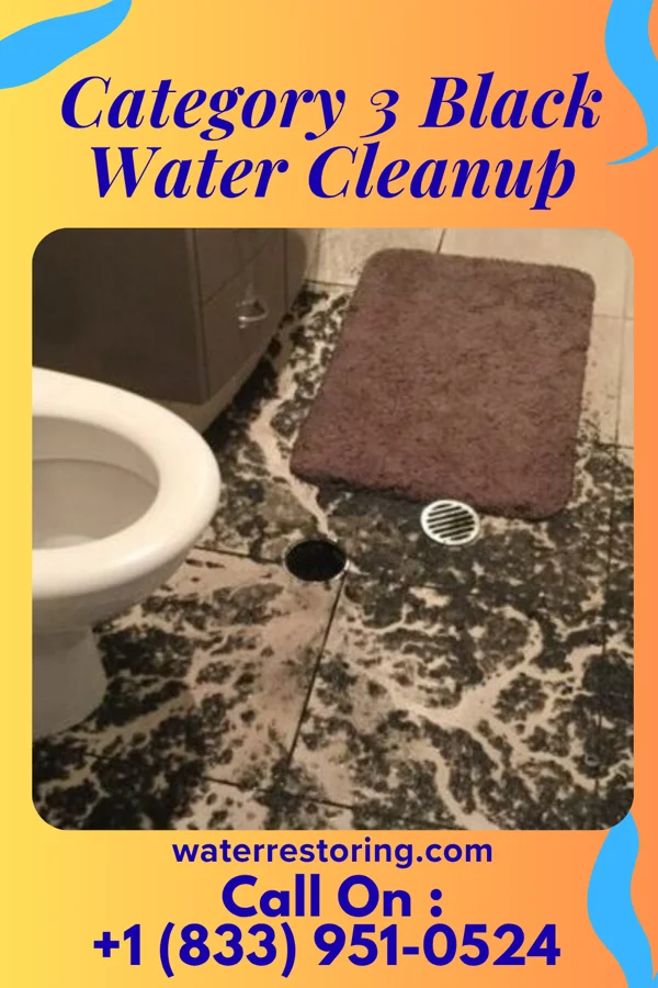 Category 3 Black Water Cleanup in Erskine, MN