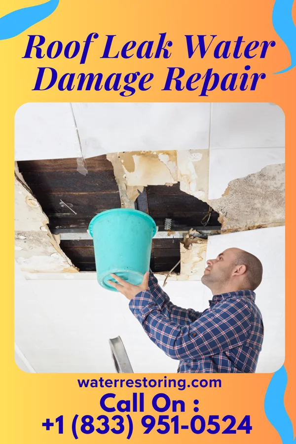 Roof Leak Water Damage Repair in Erskine, MN